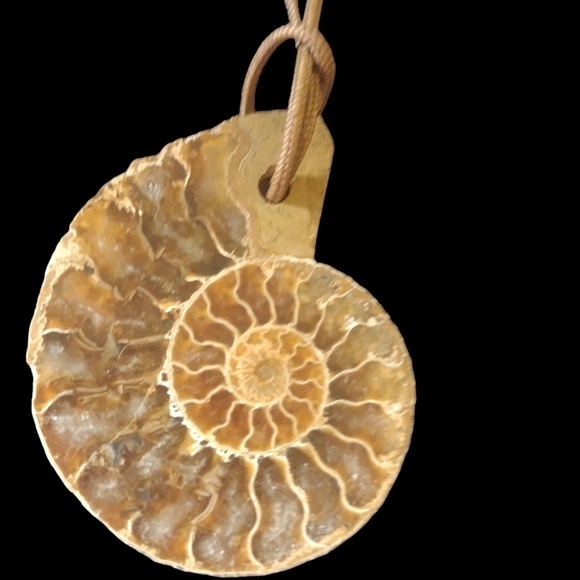 Nwt Fossil necklace - Picture 2 of 4